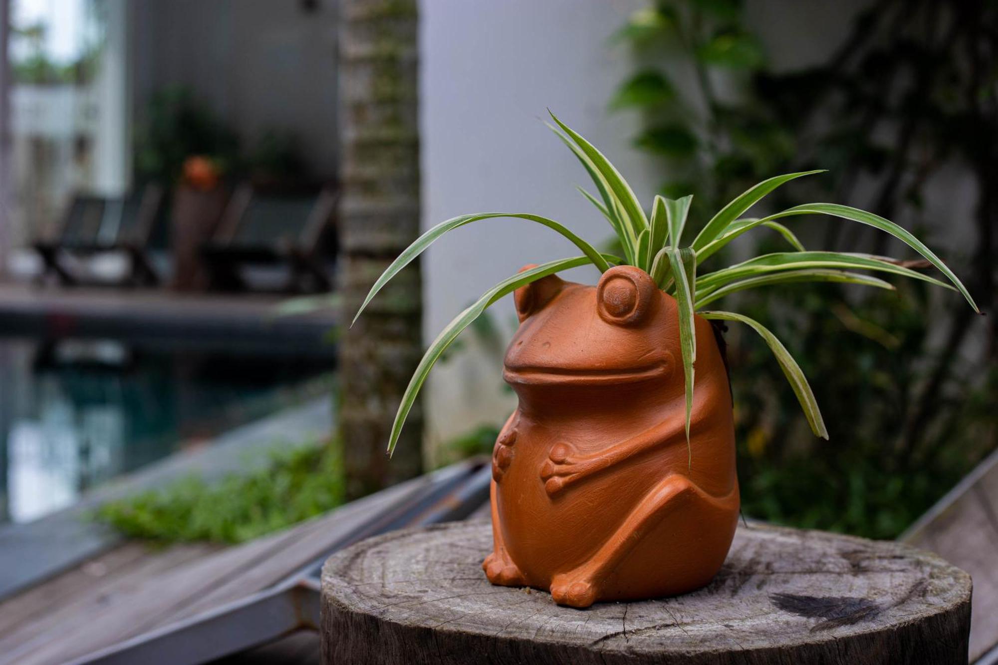 Hoi An Fairy Garden Villa Exterior foto